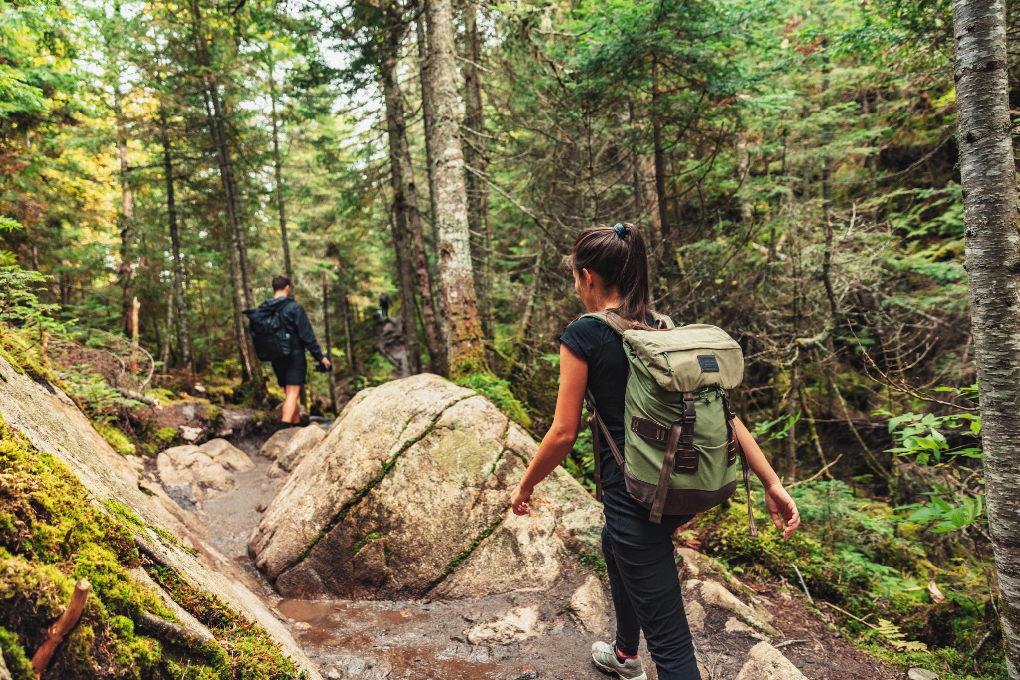 hikers walking on forest trail with camping backpacks. hiker woman from behind hiking in autumn fall nature woods. group of tourists wearing backpacks outdoors trekking on mountain.